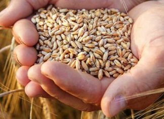 Zákon sklizně platí i pro finančníky